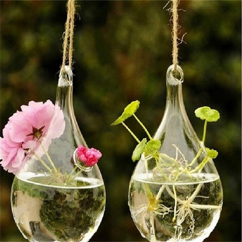 Hanging Vase Bottle For Terrarium Hydroponic Plant Flower - Astro Sapien